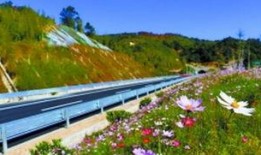 潮州枫溪爆料最新消息,揭秘枫溪区重大事件背后的真相